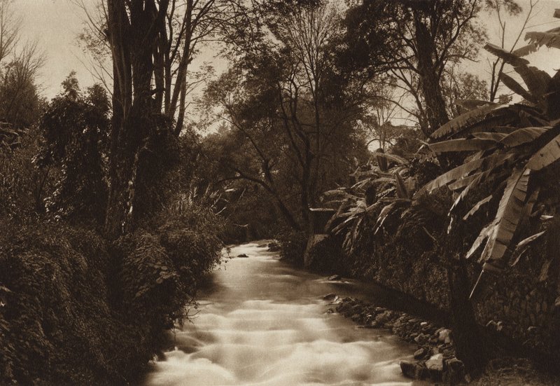 Mexique : Uruapam (photo n/b) - Hugo Brehme