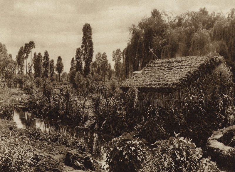Mexique : Xochimilco avec les "jardins flottants" (photo n/b) - Hugo Brehme