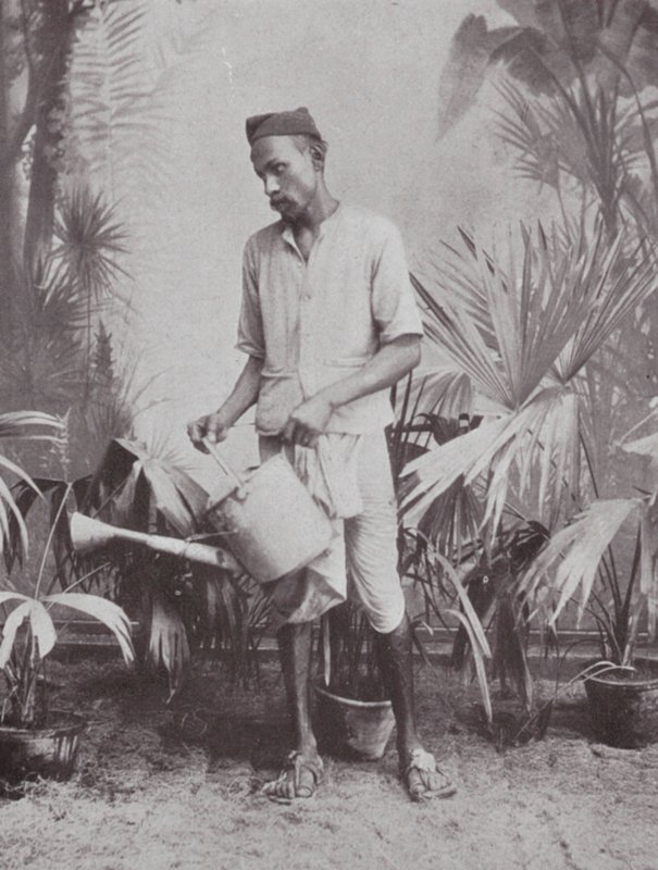 Bombay / Mumbai : Jardinier (photo n/b) - Indian photographer