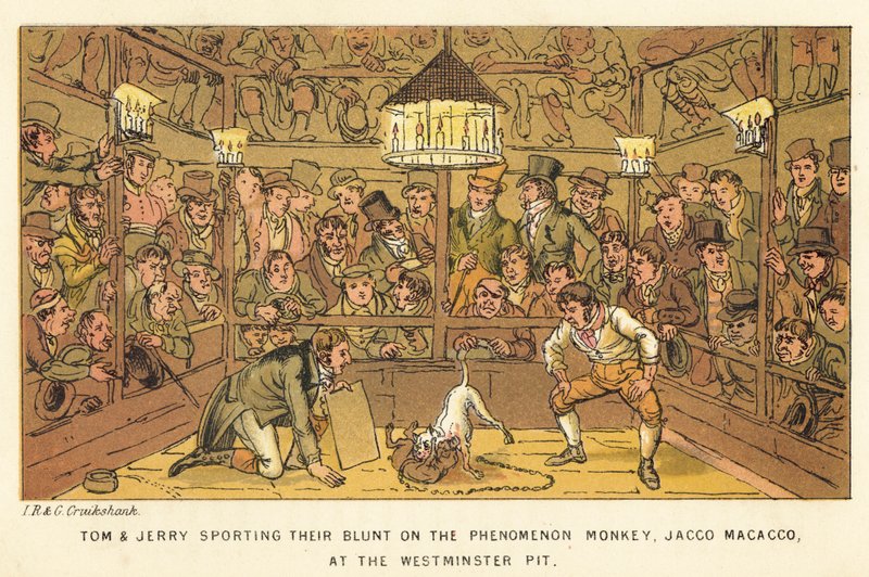 Tom et Jerry dépensant leur argent sur le singe phénomène, Jacco Macacco, à Westminster Pit - Isaac, Robert and George Cruikshank