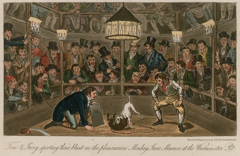 Tom et Jerry pratiquant leur blunt sur le phénomène Monkey, Jacco Macacco, au Westminster Pit - Isaac, Robert and George Cruikshank