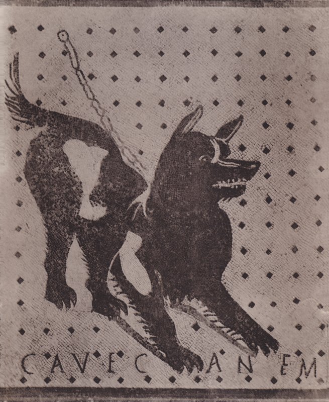 Mosaïque, Cave Canem - Italian Photographer