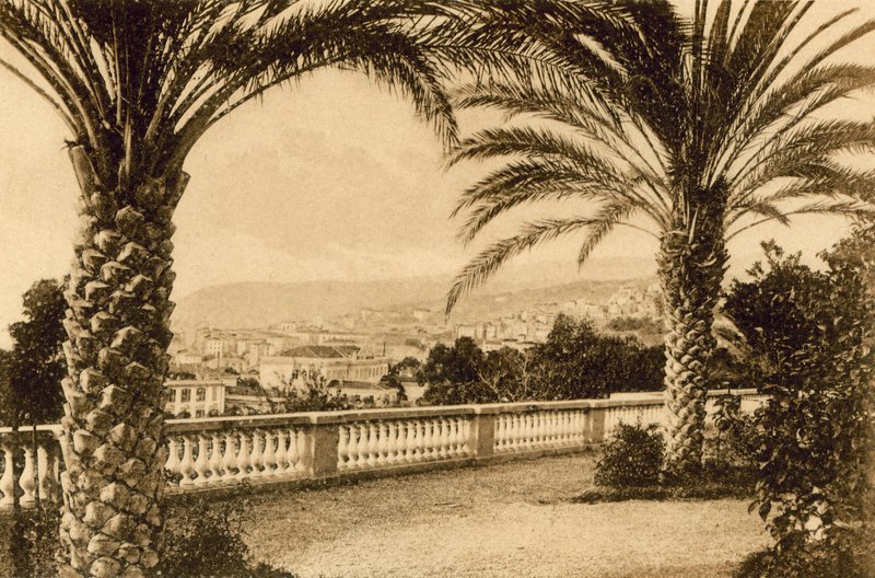 San Remo, Parmi les Palmiers - Italian Photographer