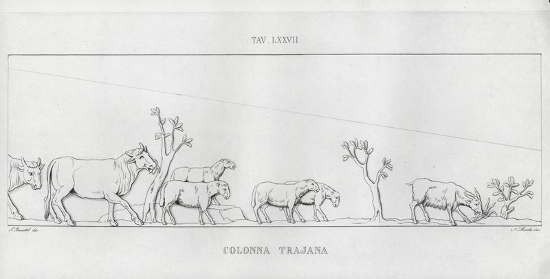 La Colonne Trajane (gravure) - Italian School