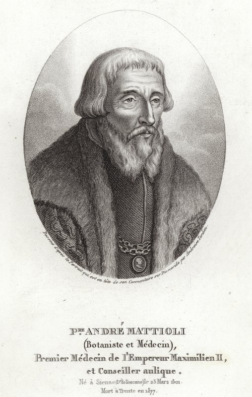 Pietro Andrea Mattioli - Italian School