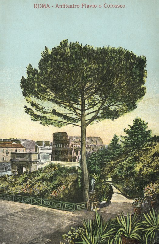 Rome, Italie, Amphithéâtre et Colisée (lithographie couleur) - Italian School