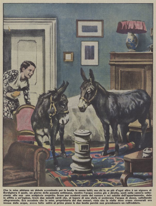 Deux ânes dans un appartement à Bordighera, Italie (lithographie couleur) - Italian School