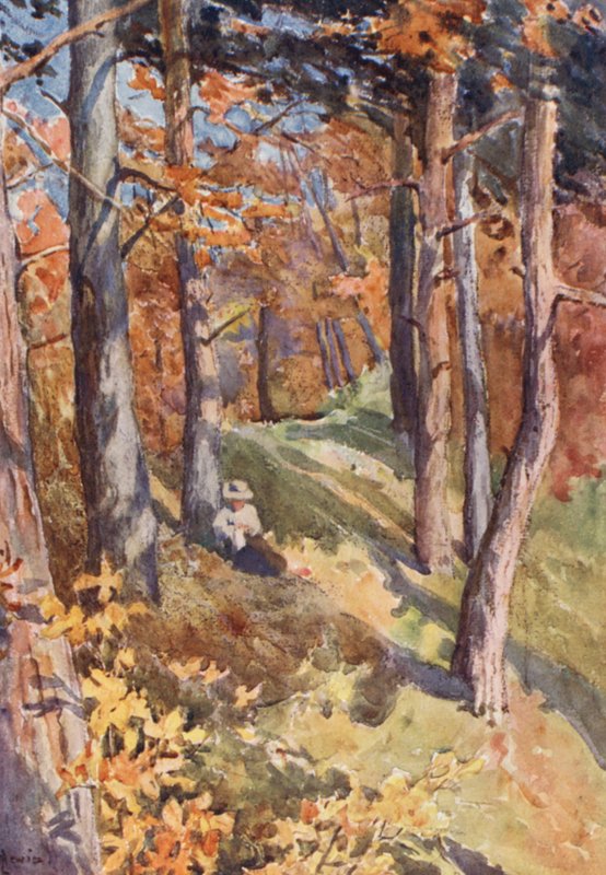 Dans la forêt de Sauvabelin, au-dessus de Lausanne - J. Hardwicke Lewis