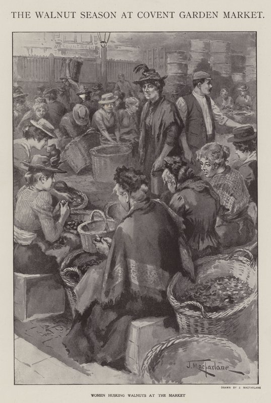 La saison des noix au marché de Covent Garden, Londres - J. Macfarlane