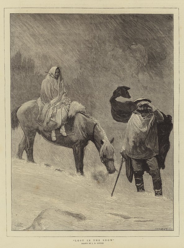 Perdu dans la Neige - James Dromgole Linton