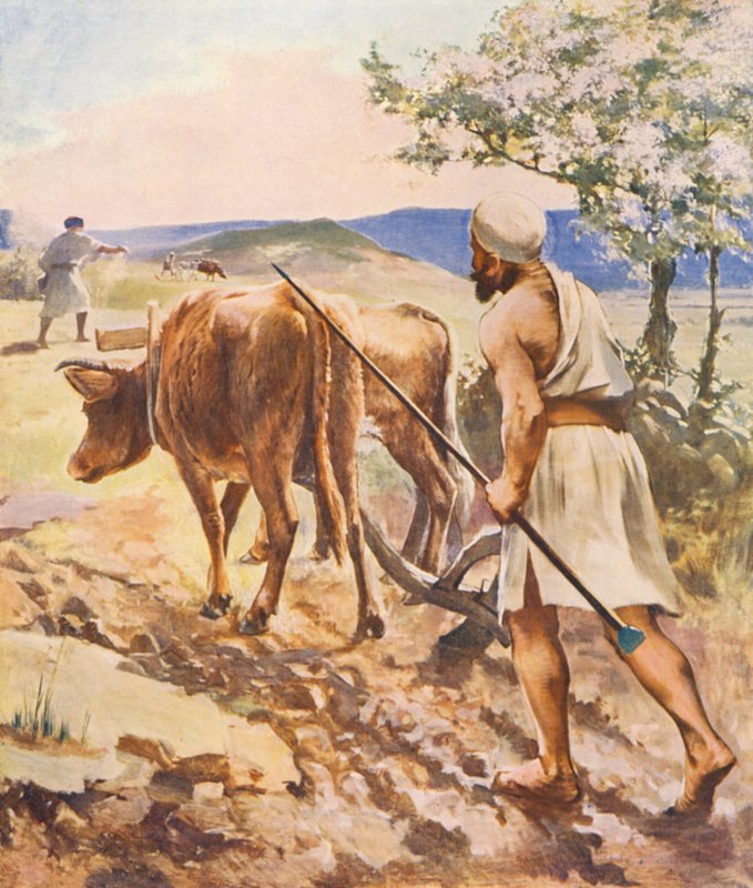 Terre Sainte : Labourer près de Nazareth - James (after) Clark