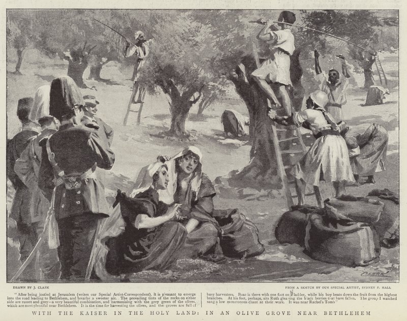 Avec le Kaiser en Terre Sainte, dans une oliveraie près de Bethléem - James Clark
