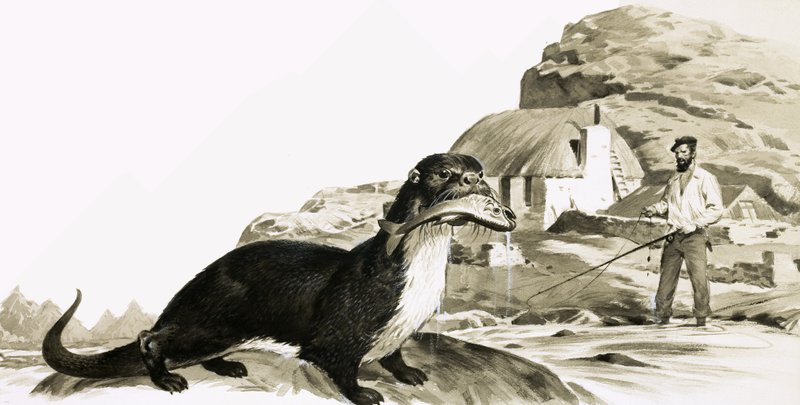 Loutre avec poisson et homme en train de pêcher - James Edwin McConnell