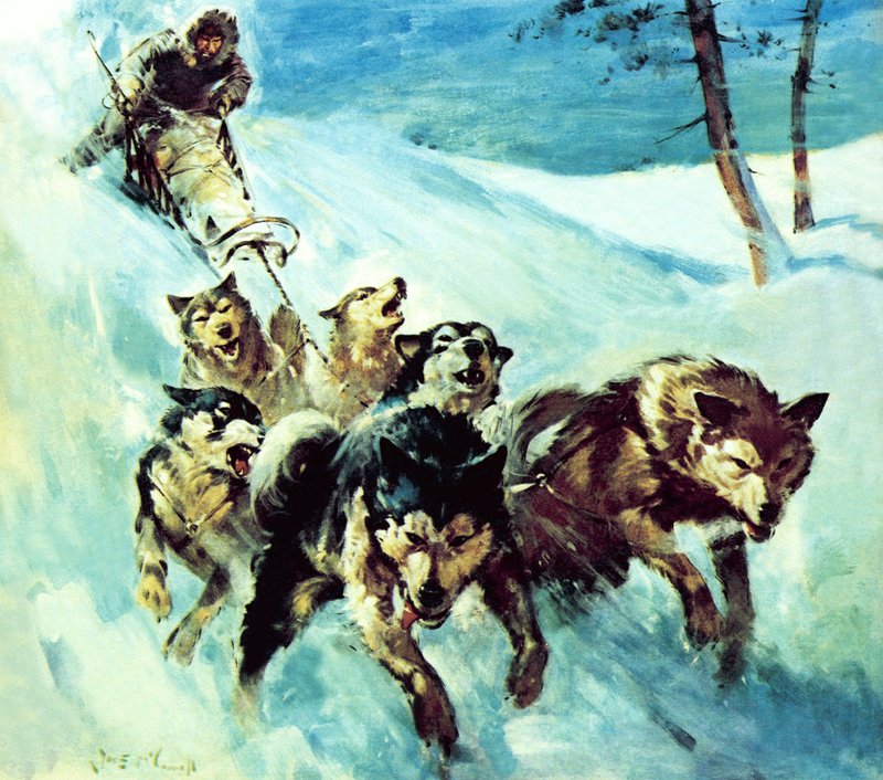 Le Husky canadien - James Edwin McConnell