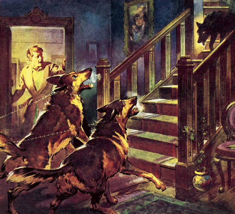 Le fantôme du chien noir - James Edwin McConnell