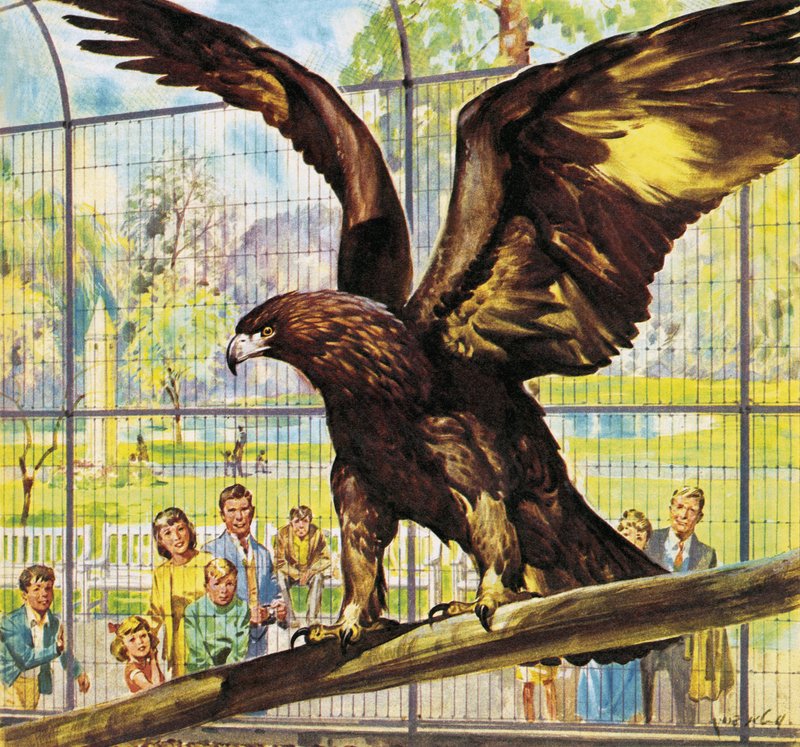 Qui est qui au Zoo : L