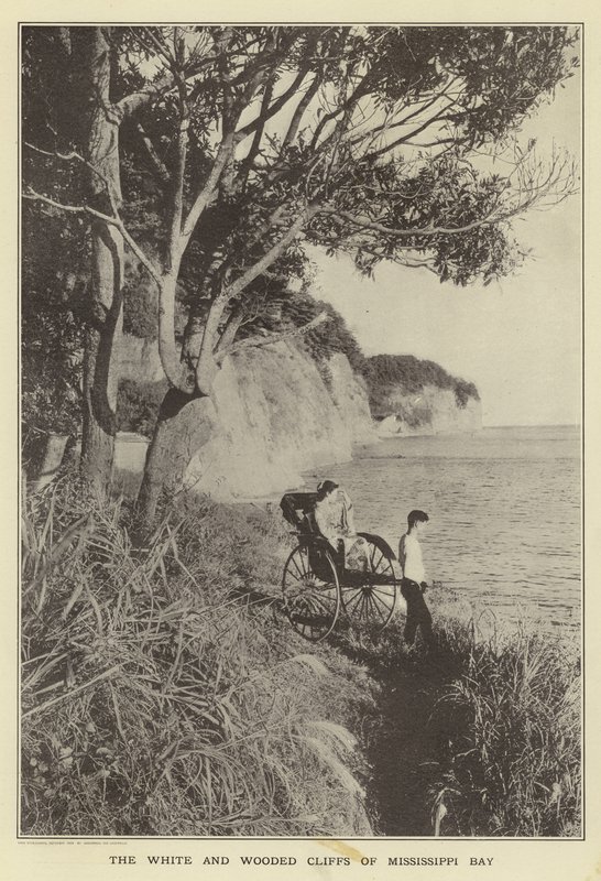 Les falaises blanches et boisées de la baie du Mississippi - Japanese Photographer