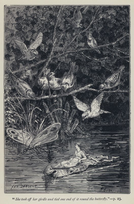 "Elle enleva sa ceinture et en attacha une extrémité autour du papillon" (gravure) - Jean Edouard Dargent