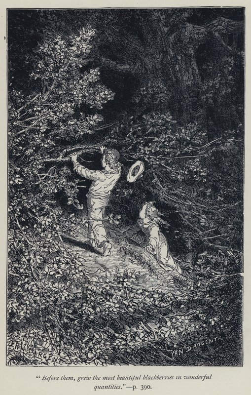 « Devant eux, poussaient les plus belles mûres en quantités merveilleuses » (gravure) - Jean Edouard Dargent
