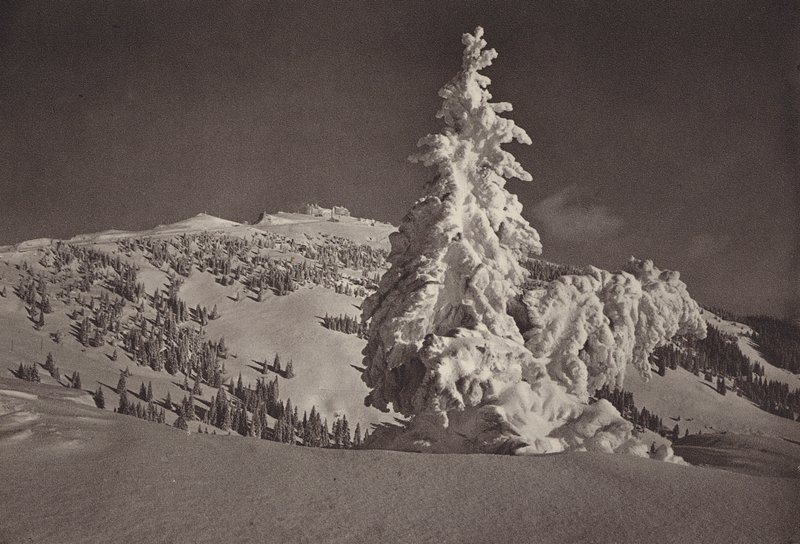Rigi Kaltbad, domaine skiable jusqu