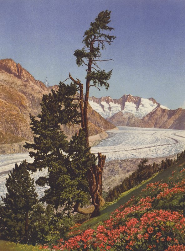 Suisse : Vue du glacier d