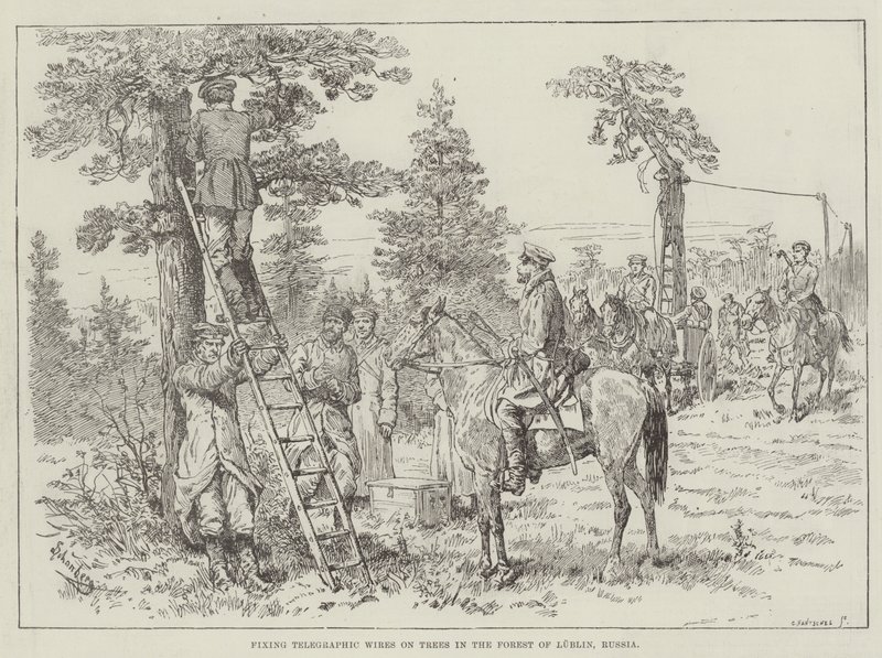 Fixation des fils télégraphiques sur les arbres dans la forêt de Lublin, Russie - Johann Nepomuk Schonberg