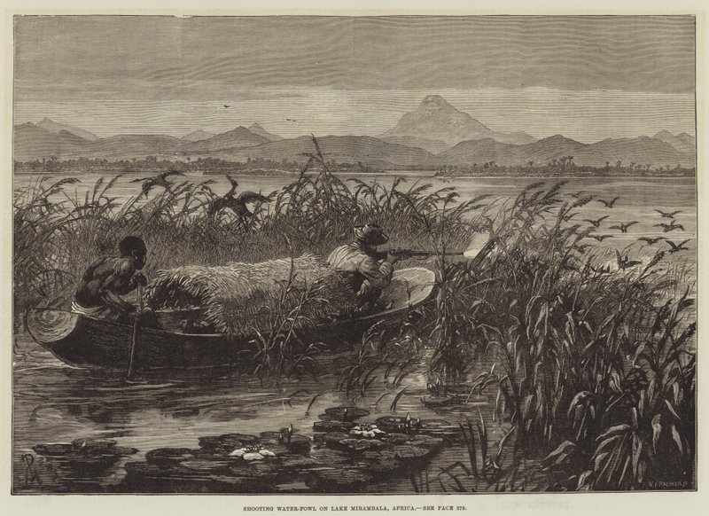 Chasse aux Oiseaux Aquatiques sur le Lac Mirambala, Afrique - Johann Nepomuk Schonberg