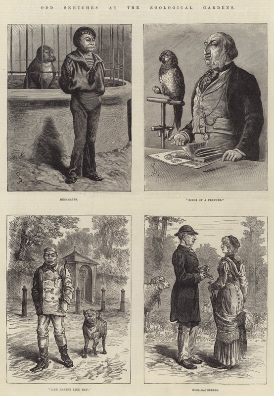 Croquis divers au jardin zoologique - Johann Nepomuk Schonberg