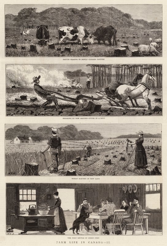 La Vie à la ferme au Canada, II - John Charles Dollman