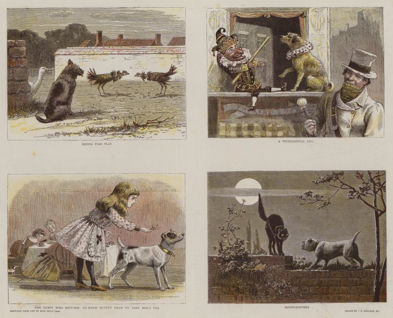 Illustrations du catalogue de l