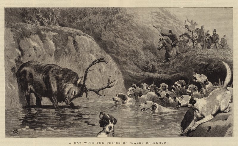 Une journée avec le prince de Galles à Exmoor - John Charlton