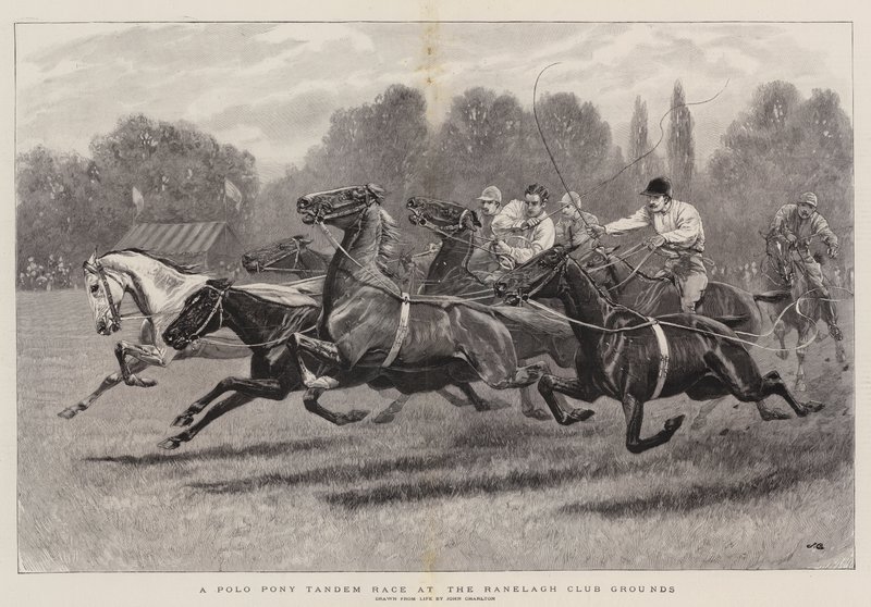 Une course de tandem de poneys de polo au Ranelagh Club Grounds - John Charlton