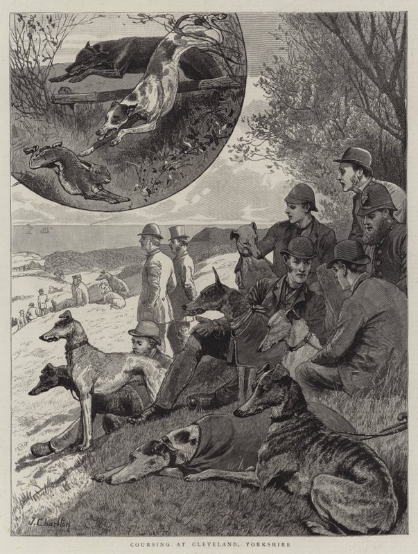 Coursing à Cleveland, Yorkshire - John Charlton