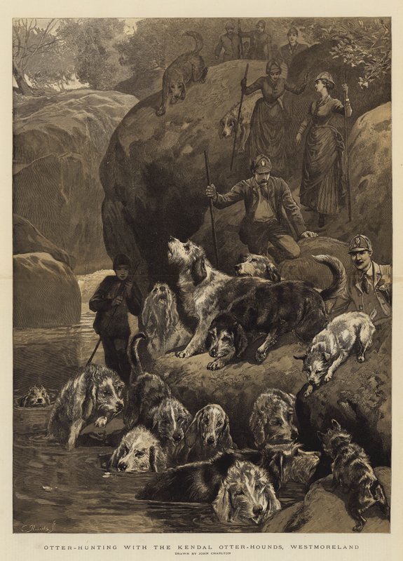 Chasse à la loutre avec les chiens de loutre de Kendal, Westmoreland - John Charlton