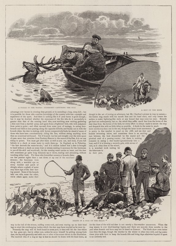 La chasse du cerf rouge sauvage sur Exmoor - John Charlton