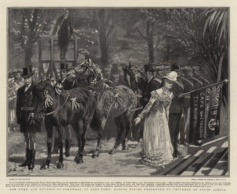Le Duc et la Duchesse de Cornouailles au Cap, Poneys Basuto offerts par les Enfants d