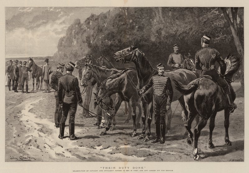 Leur devoir accompli - John Charlton