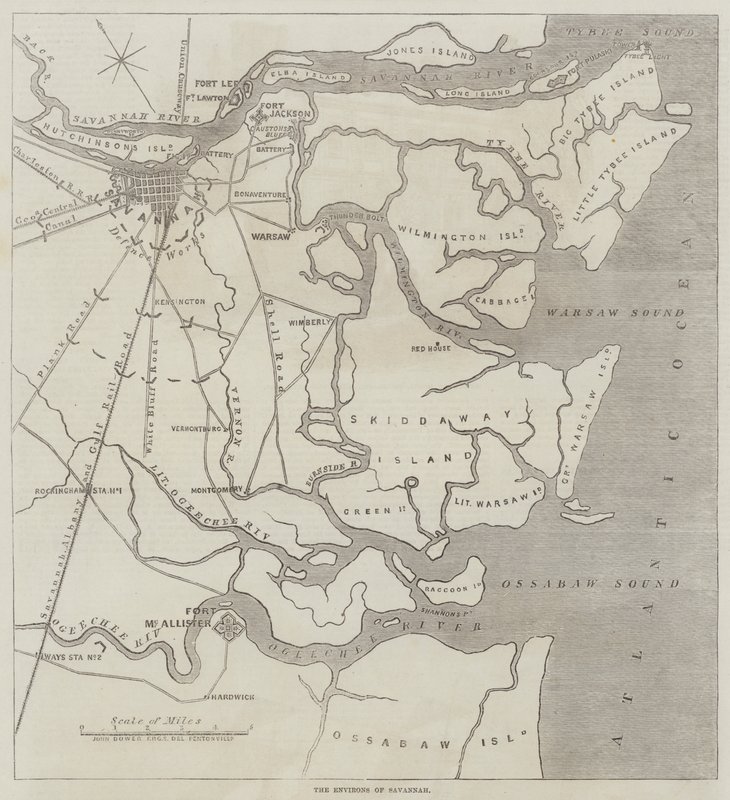 Les Environs de Savannah - John Dower