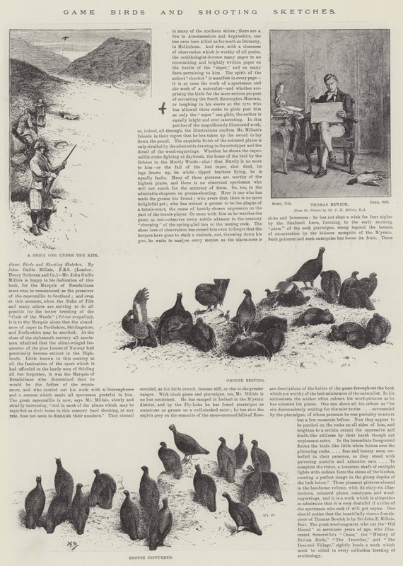 Oiseaux de chasse et croquis de tir - John Guille Millais