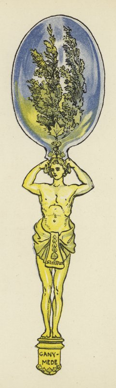 Ganymède et le mythe du Peuplier - John Shenton Eland