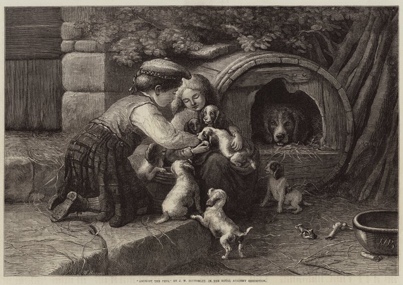Parmi les animaux de compagnie - John William Bottomley