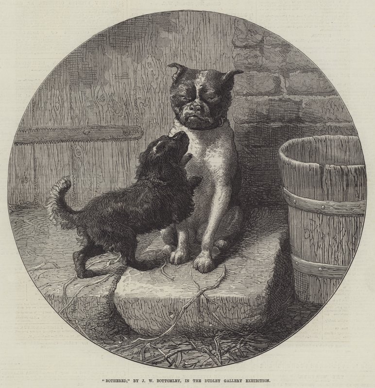 Embêté - John William Bottomley