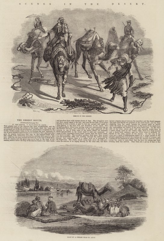 Scènes dans le désert - John Wykeham Archer