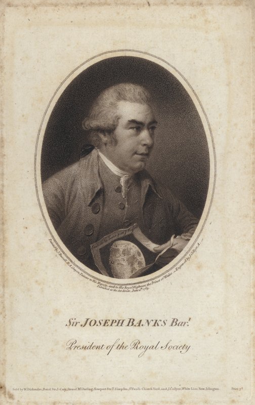 Sir Joseph Banks, naturaliste, botaniste et président de la Royal Society (gravure) - John (after) Russell