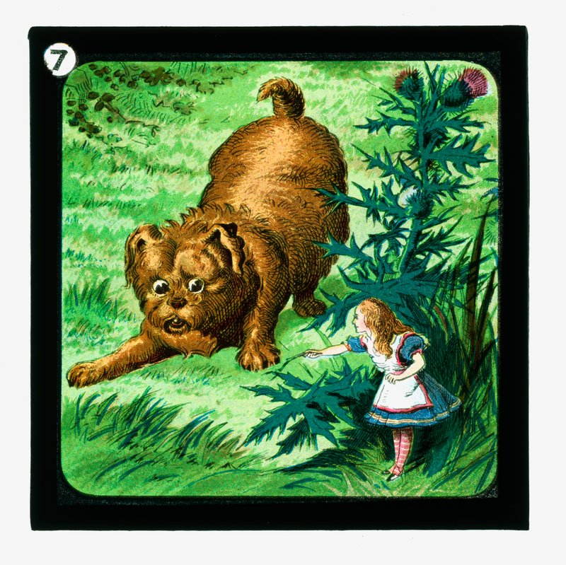 Alice au Pays des Merveilles, Diapositives colorées - John (after) Tenniel
