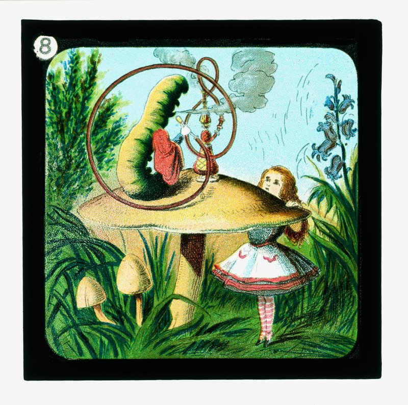 Alice au Pays des Merveilles, Diapositives colorées - John (after) Tenniel