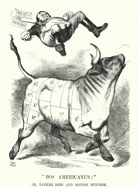 Caricature de Punch : Bos Americanus ; ou, Bœuf Yankee et Boucher Britannique - avantages attendus pour les consommateurs de l