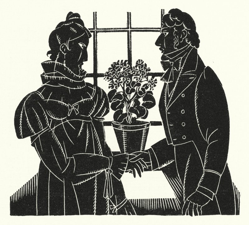Illustration pour Madame Bovary par Gustave Flaubert - John Austen