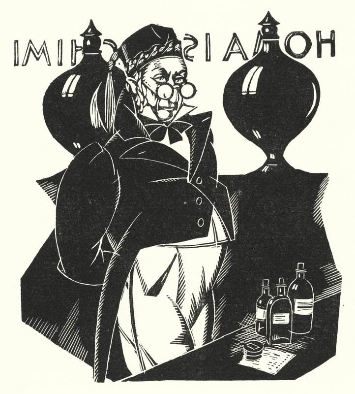 Illustration pour Madame Bovary par Gustave Flaubert - John Austen