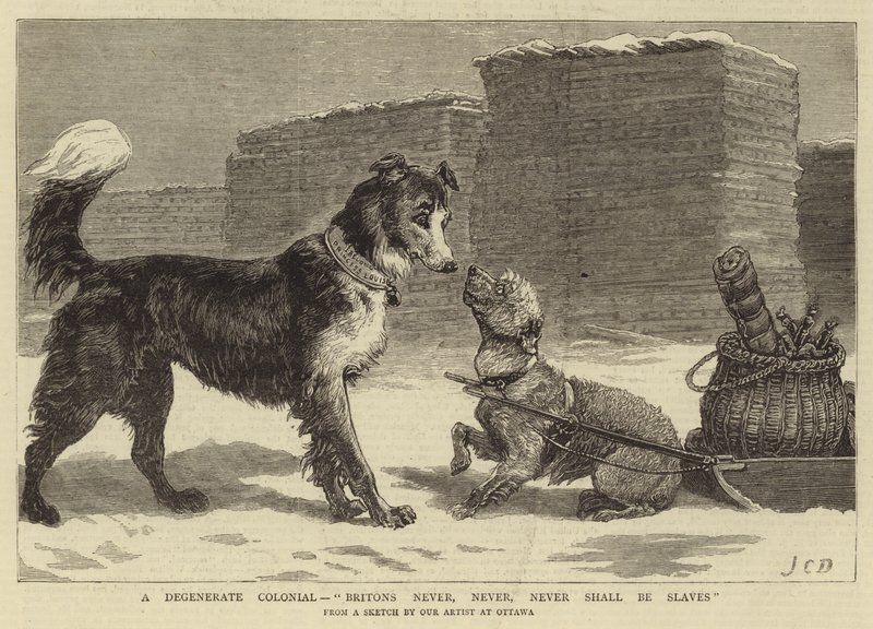 Un colon dégénéré, les Britanniques ne seront jamais esclaves - John Charles Dollman